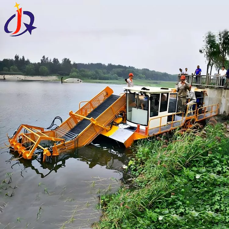 Катэр гіяцынт і ряска